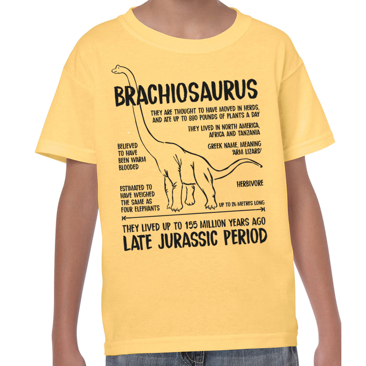 Brachiosaurus Fact - T-shirt