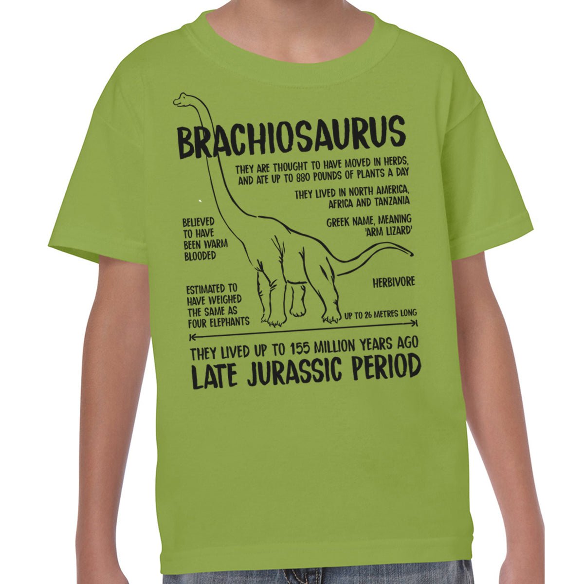 Brachiosaurus Fact - T-shirt