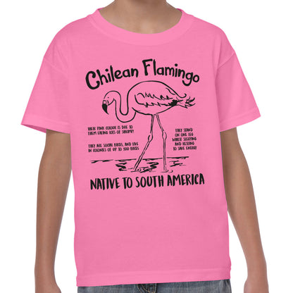 Chilean Flamingo Fact - T-shirt