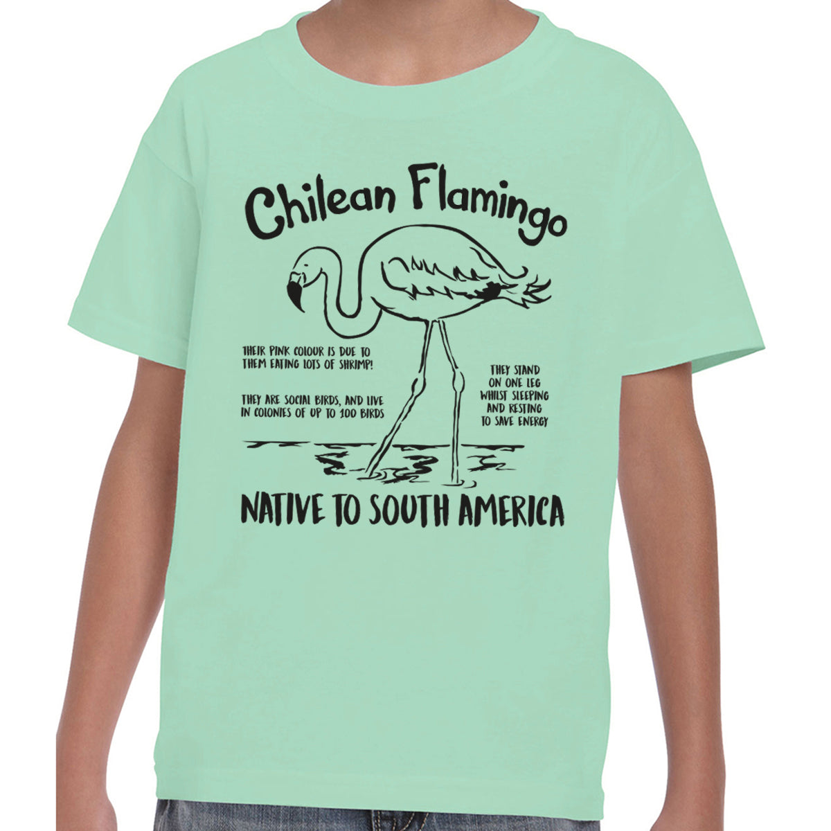 Chilean Flamingo Fact - T-shirt