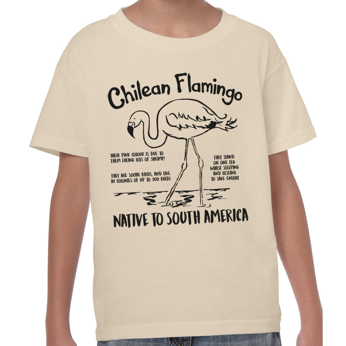 Chilean Flamingo Fact - T-shirt