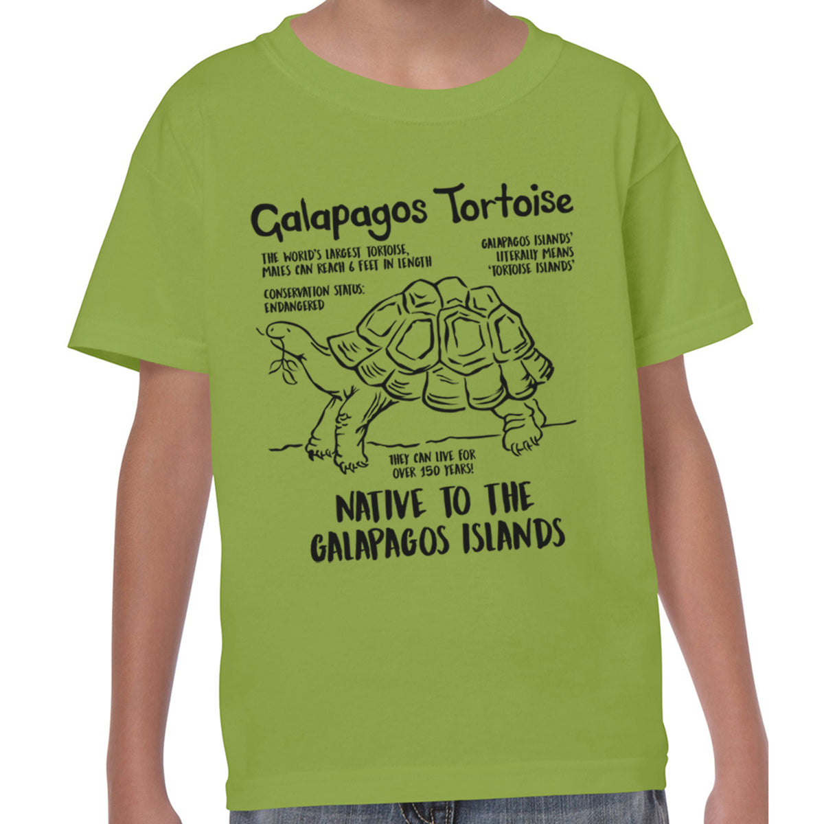 Galapagos Tortoise Fact - T-shirt