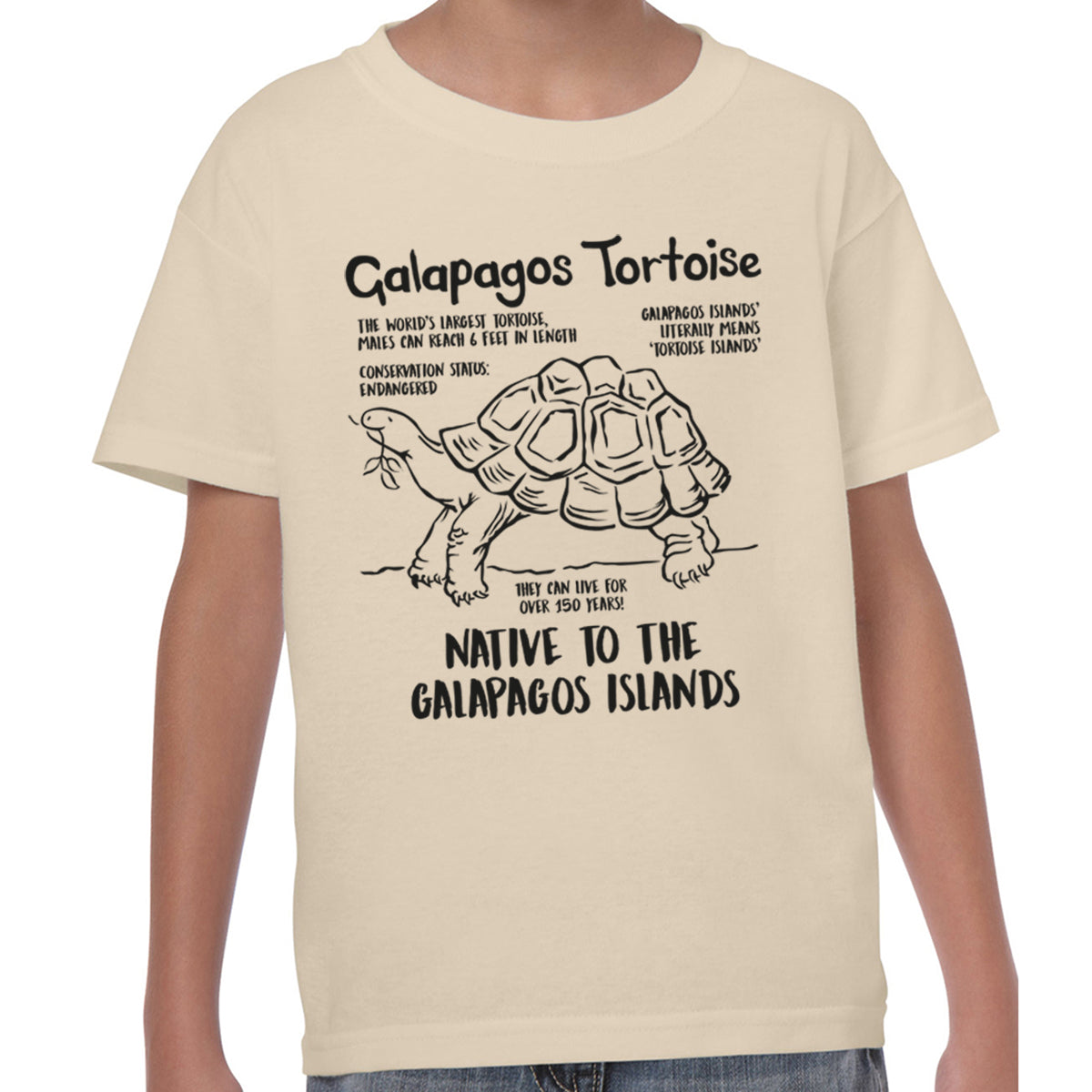 Galapagos Tortoise Fact - T-shirt