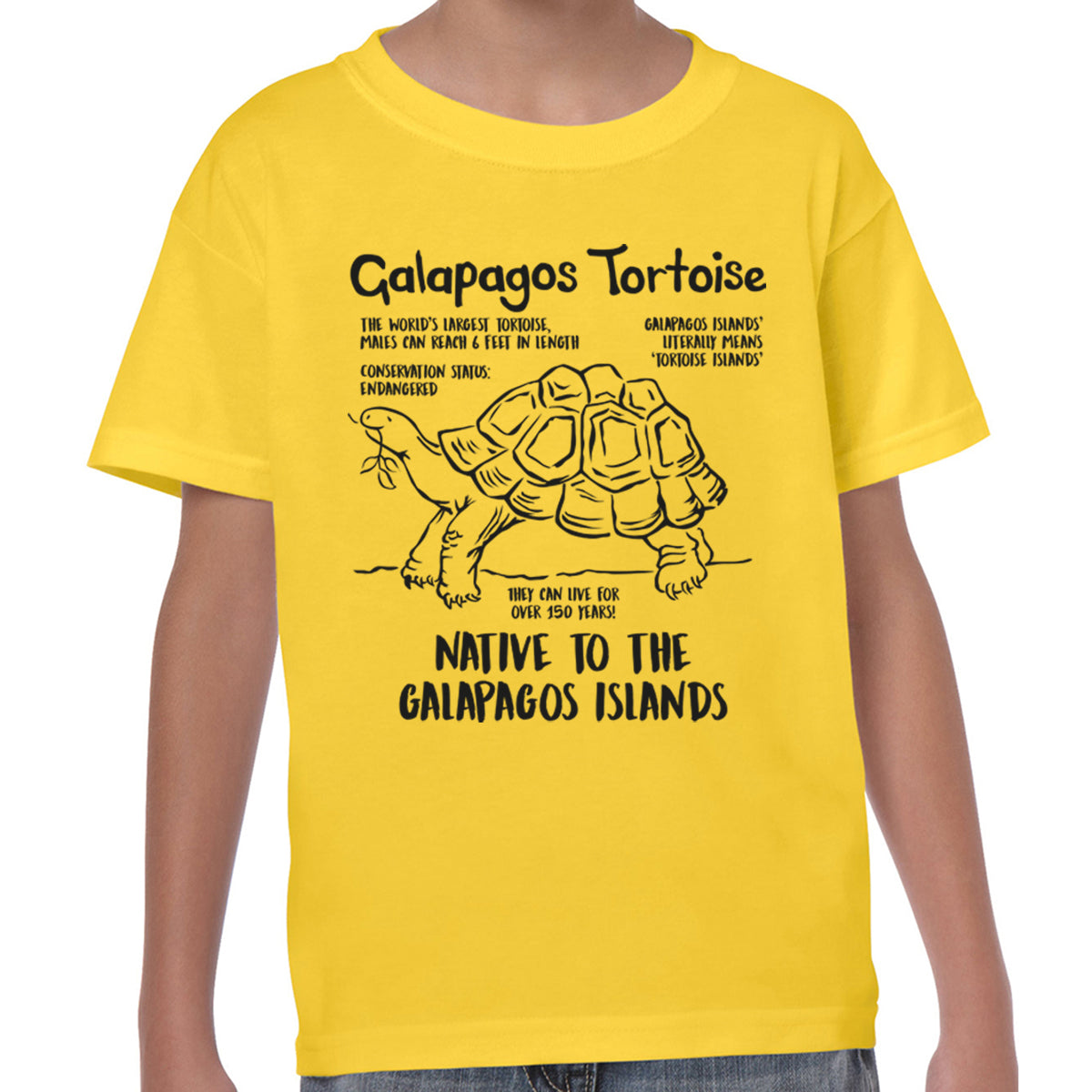 Galapagos Tortoise Fact - T-shirt