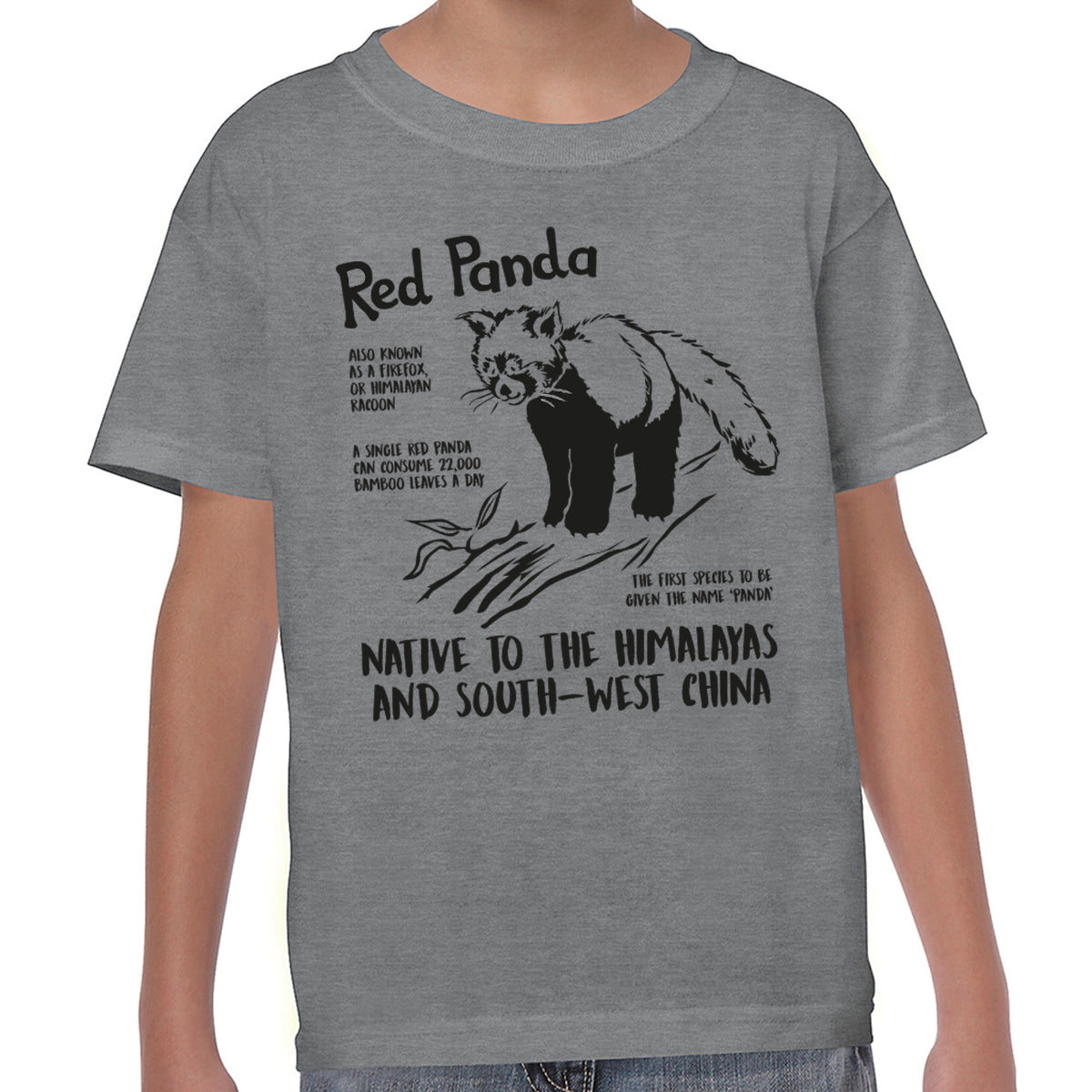 Red Panda Fact - T-shirt