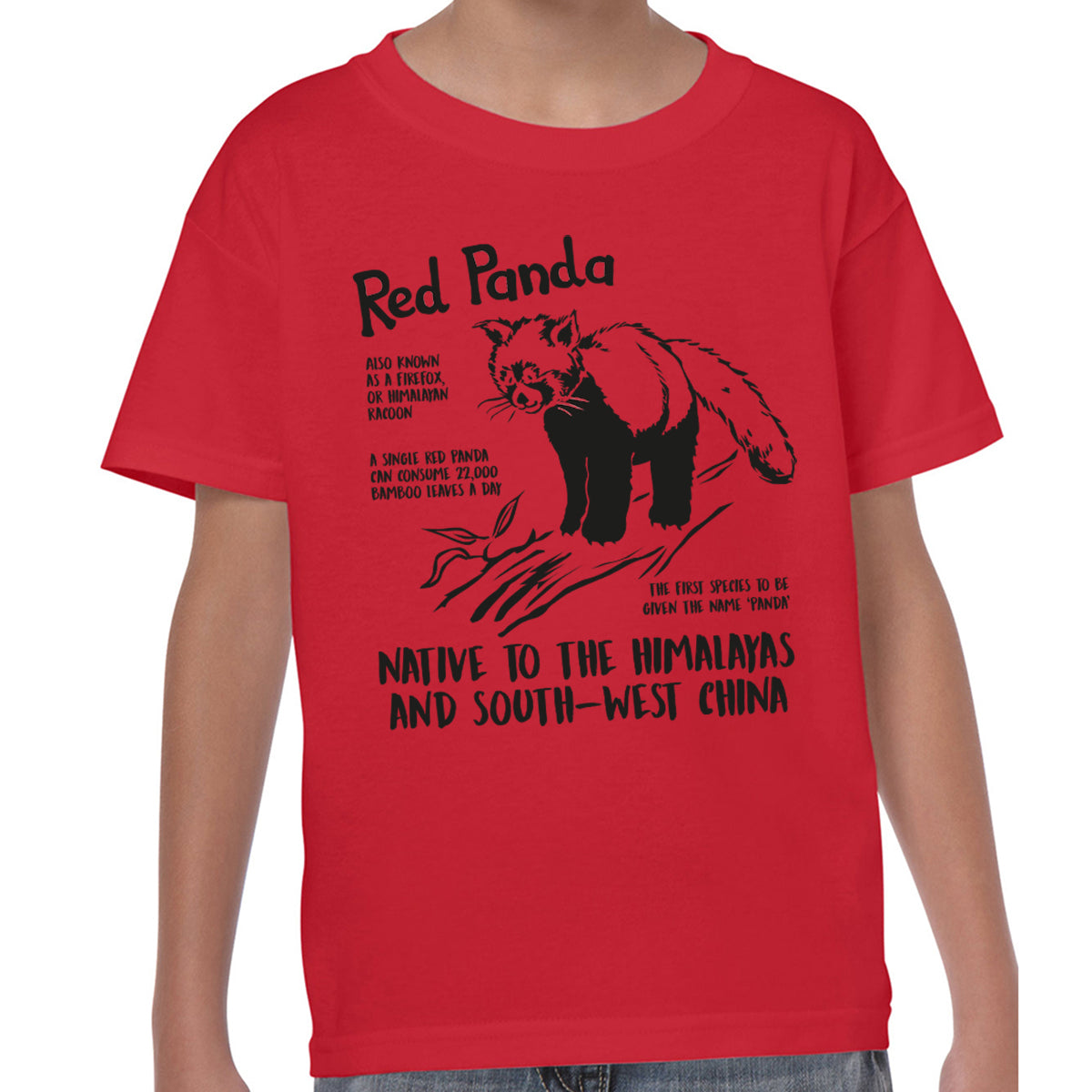 Red Panda Fact - T-shirt