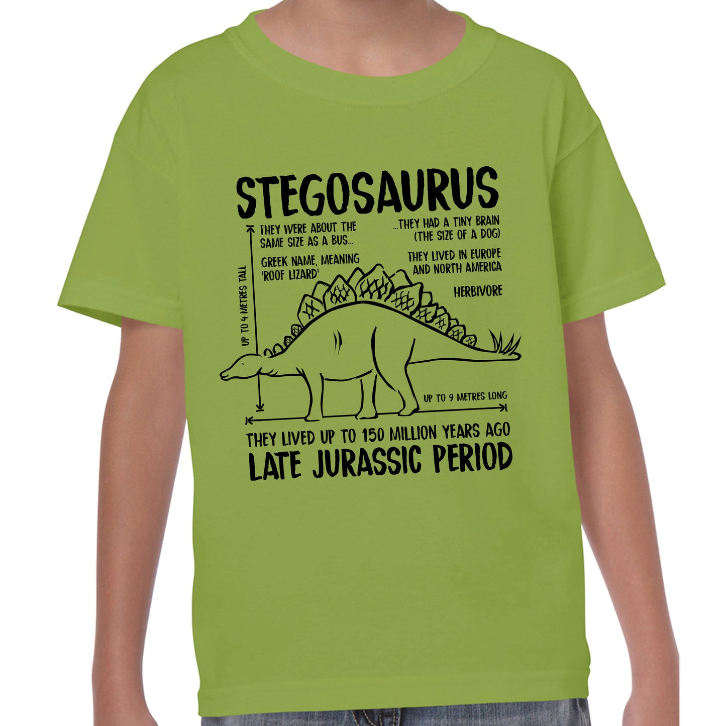 Stegosaurus Fact - T-shirt